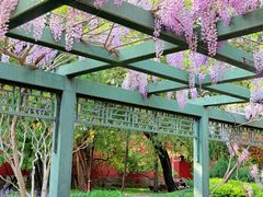 -北京市劳动人民文化宫(太庙)