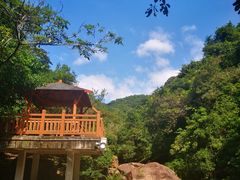 -广州白江湖森林公园