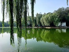 -团结湖公园