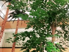 -无锡城中皇冠假日酒店·芳园中餐厅