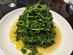 清炒菊花脑-咱家小院(汉中门店)