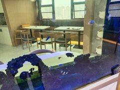 -喵园·猫主题咖啡厅·撸猫·猫咖(国贸店)