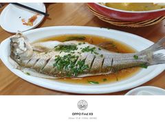 -张鸟园农家乐(张鸟园店)