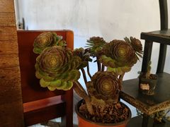 -云隐小厨·传统大理美食(复兴路店)