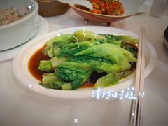 -饭怕鱼·黄焖鲟龙鱼(湖大店)