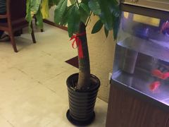 -唐晋人家(源深路店)