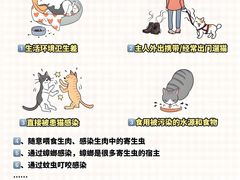 -艾吉宠物医院·疑难杂症转诊中心·猫友好(碧江路院)