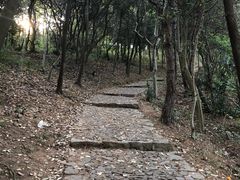-雨花胜境