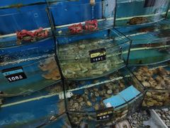 水产区-渔中舟海鲜大排档(普陀沈家门店)