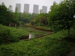 -重庆彩云湖湿地公园