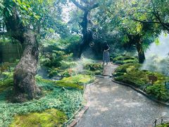 -Chom Cafe and Restaurant