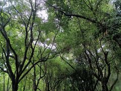 -燕晗山郊野公园