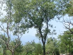 -阳台山自然风景区