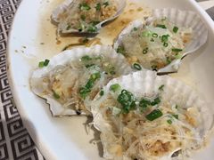 蒜蓉粉丝蒸黄金贝-强记海鲜·大排档(蛇口新街店)