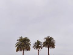 -鼓浪屿内厝澳码头(轮渡站)