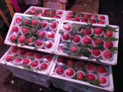 -菜园坝水果市场