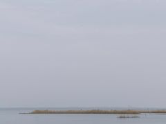 -新木器时代餐厅(太湖新天地店)