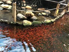 -鸿通城购物中心