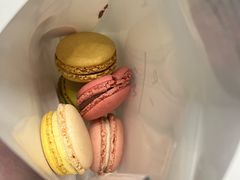 -Pierre Marcolini(德基广场店)