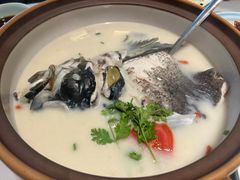 -全乐鱼馆·淳牌有机鱼直营店