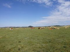 -塞罕坝国家级自然保护区