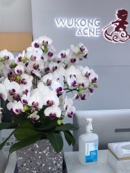 -悟空祛痘·诺奖技术专业店