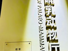 -国家自然博物馆