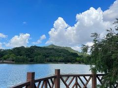 -番禺大夫山森林公园