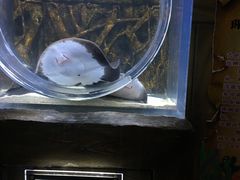 -梦幻海洋王国(吾悦广场张家港店)