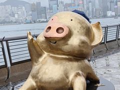 -星光大道