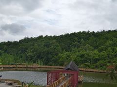 -神光山国家森林公园