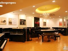 -柏斯琴行(汾阳店)