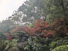 -南山植物园