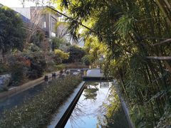 -水月周庄铂尔曼酒店 · 漾全日餐厅