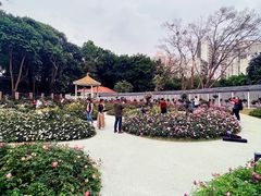 -人民公园(罗湖区)