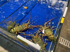 -三亚火车头万人海鲜广场