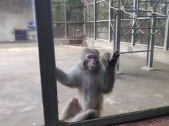 -广东茂名森林公园