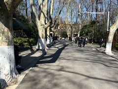 -灵谷景区