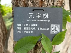 -八大处公园