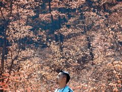 -灵山