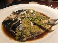 鱼头诱惑-绿茶餐厅(成都万象城店)