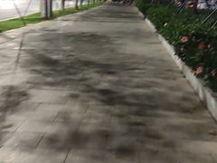 -钢管厂五区小郡肝串串香(南山店)