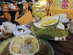 -榴莲BB 四季果园