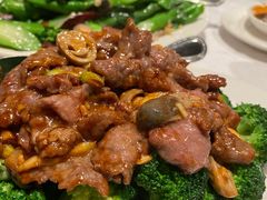 西兰花炒牛肉-Sun World Chinese Restaurant 新世界海鲜酒家