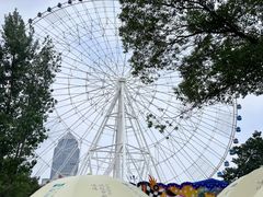 -南昌之星游乐场