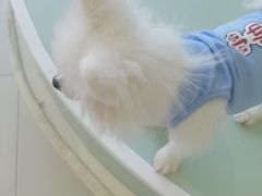 -怪兽屋·羊驼·猫咖·狗咖(俊华广场店)