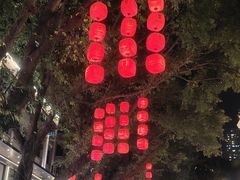 -越秀西湖花市(广州城市广场花卉店)