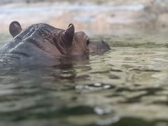 -广州长隆野生动物世界