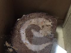 -星巴克(恒基688广场店)