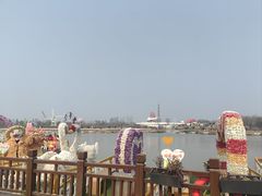 -荷兰花海
